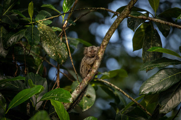 Foto de Natureza da natureza e pássaros