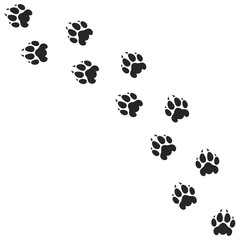 Lion paw print. Silhouette. Isolated paw prints on white background © Aleksei_7799
