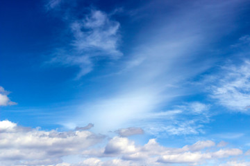 Naklejka na ściany i meble light clouds in the blue sky 