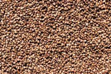 buckwheat grain texture, background