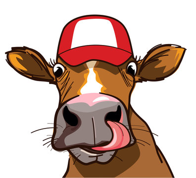 Curious cow with long tongue and hat on the head, looking at you 