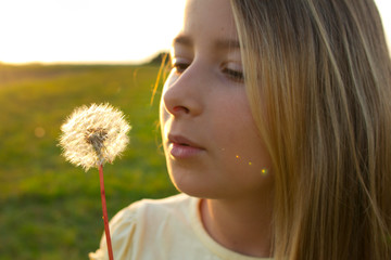 Naklejka premium 117D23