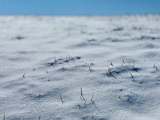 Schneebedeckte Wiese
