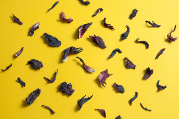Fototapeta premium the black and red dry petals of the Sudanese tea rose are arranged in rows on a yellow background from a close up view from above