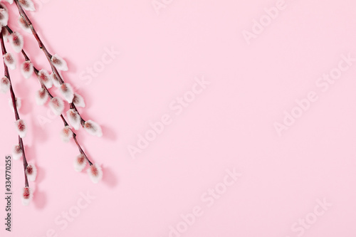 Minimal flowers composition. Spring background. Branches of willows on pastel pink background. Easter, Happy Women's Day, Mother's day. Flat lay, top view, copy space