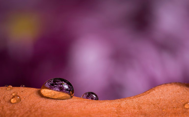 Flower macro