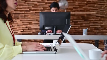 経営者の女性 ポートレート Wall Mural Wallpaper Murals Monet