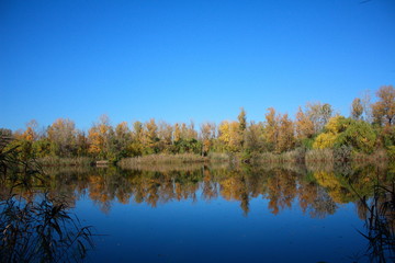 Blue skies and trees are reflected in the lake