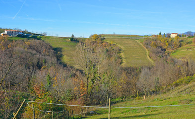 The early winter landscape near the village of Golo Brdo in the Brda municipality of Primorska in Slovenia