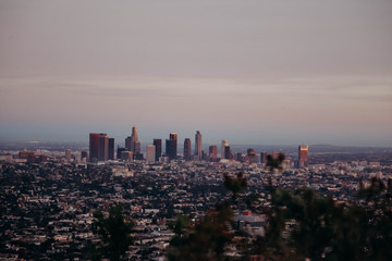 Fototapeta premium Los Angeles