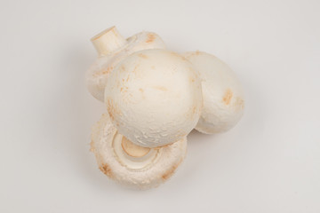 Champignon mushroom isolated on white background.