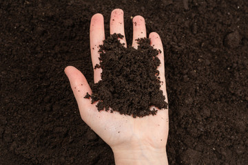 Woman hand holding ground.