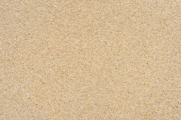 Fototapeta na wymiar Sand texture on the beach. Crushed shells