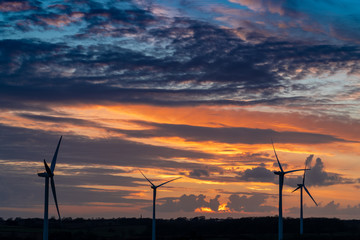 Obraz premium Wind turbines at sunset