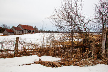 old wooden house in winter forest