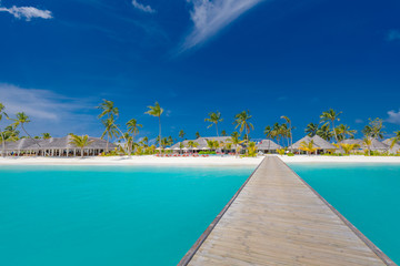Exotic travel and summer vacation banner concept. Wooden jetty towards a small island on Indian Ocean, Maldives landscape. Sunny blue sky over paradise island beach