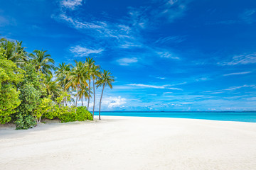 Summer nature landscape. Exotic tropical vacation beach scenery, blue sky white sand with palm...