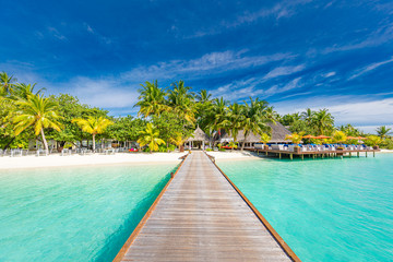 Maldives paradise beach. Perfect tropical island. Beautiful palm trees and tropical beach. Moody blue sky and blue lagoon. Luxury travel summer holiday background concept.