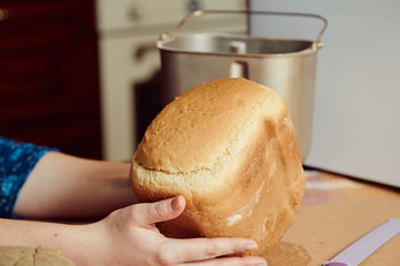 Hostess keeps fresh bread from electric bread maker