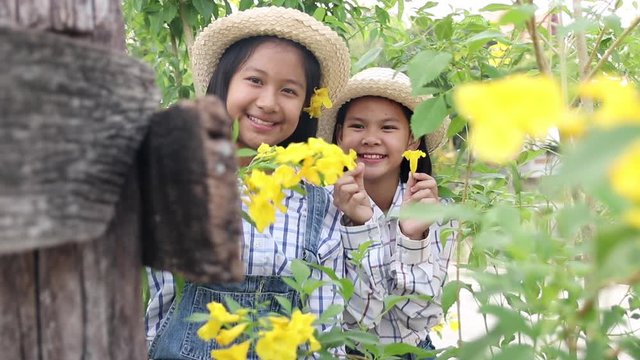 Two young girl are touching with a cool yellow flower and learning about nature in the evening. Yellow elder flowers are bright can be planted easily and occur in the tropics in general. Relax time. 
