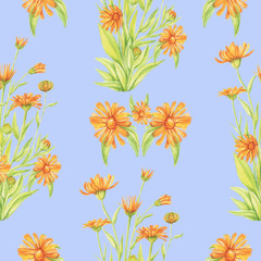 calendula pattern