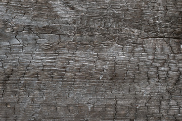 burned wooden plank