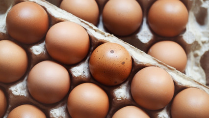 Selective focus, organic brown chicken eggs in carton on rustic wooden table backgrounds for natural healthy food concepts