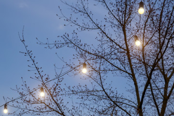 LED light bulbs outdoors in spring park.
