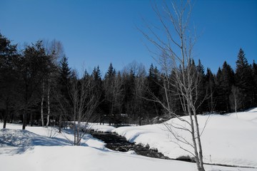 Jolie ruisseau au printemps en forêt canadienne au Québec, Canada, région de Lanaudière