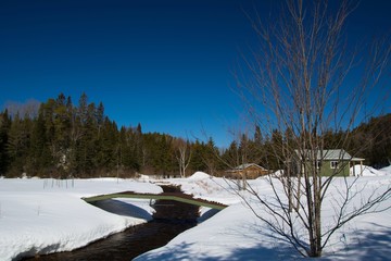 Jolie ruisseau au printemps en forêt canadienne au Québec, Canada, région de Lanaudière