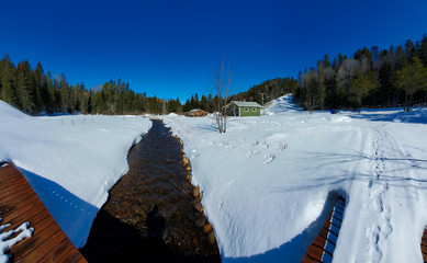 Jolie ruisseau au printemps en forêt canadienne au Québec, Canada, région de Lanaudière