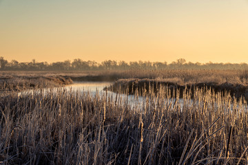 Narwiański Park Narodowy. Rzeka Narew. Polska Amazonia, Podlasie,Polska © podlaski49