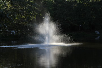Catfish Pond Fountain