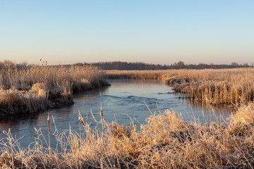 Narwiański Park Narodowy. Rzeka Narew. Polska Amazonia, Podlasie,Polska © podlaski49