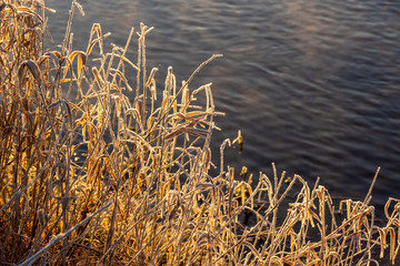 Narwiański Park Narodowy. Rzeka Narew. Polska Amazonia, Podlasie,Polska © podlaski49