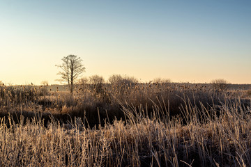 Narwiański Park Narodowy. Rzeka Narew. Polska Amazonia, Podlasie,Polska © podlaski49