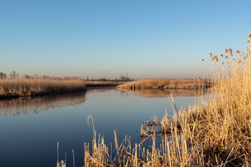 Narwiański Park Narodowy. Rzeka Narew. Polska Amazonia, Podlasie,Polska © podlaski49