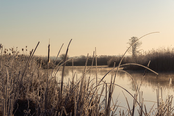 Narwiański Park Narodowy. Rzeka Narew. Polska Amazonia, Podlasie,Polska © podlaski49
