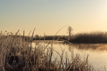 Narwiański Park Narodowy. Rzeka Narew. Polska Amazonia, Podlasie,Polska © podlaski49