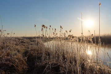 Narwiański Park Narodowy. Rzeka Narew. Polska Amazonia, Podlasie,Polska © podlaski49
