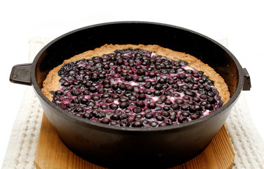 blueberry pie in the pan only from the oven. side view.