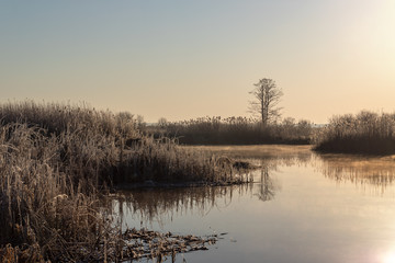 Narwiański Park Narodowy. Rzeka Narew. Polska Amazonia, Podlasie,Polska © podlaski49