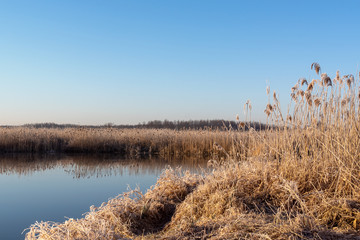 Narwiański Park Narodowy. Rzeka Narew. Polska Amazonia, Podlasie,Polska © podlaski49