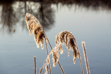 Narwiański Park Narodowy. Rzeka Narew. Polska Amazonia, Podlasie,Polska © podlaski49