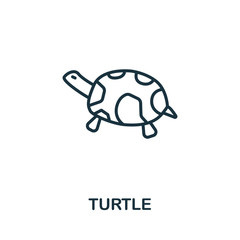 Turtle icon from wild animals collection. Simple line Turtle icon for templates, web design and infographics