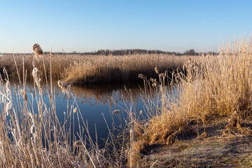 Narwiański Park Narodowy. Rzeka Narew. Polska Amazonia, Podlasie,Polska