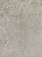 Texture of the grey plaster bark beetle on the wall. Seamless texture.