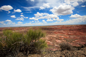 Arizona / USA - August 01, 2015: Painted Desert National Park landscape, Arizona, USA