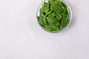 Ripe Spinach in the Bowl on the Light Gray background Spinach Leaves Top View Horizontal Copy Space