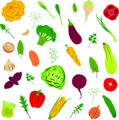 Set of different colorful vegetables in hand drawn doodle style isolated on white background. Collection of flat vegetables icons set.